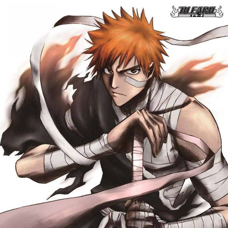 Game Bleach Sagisu Shiro Music - огляд і ціна Party Games Box